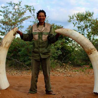 14 Day Elephant Safari (Moremi)