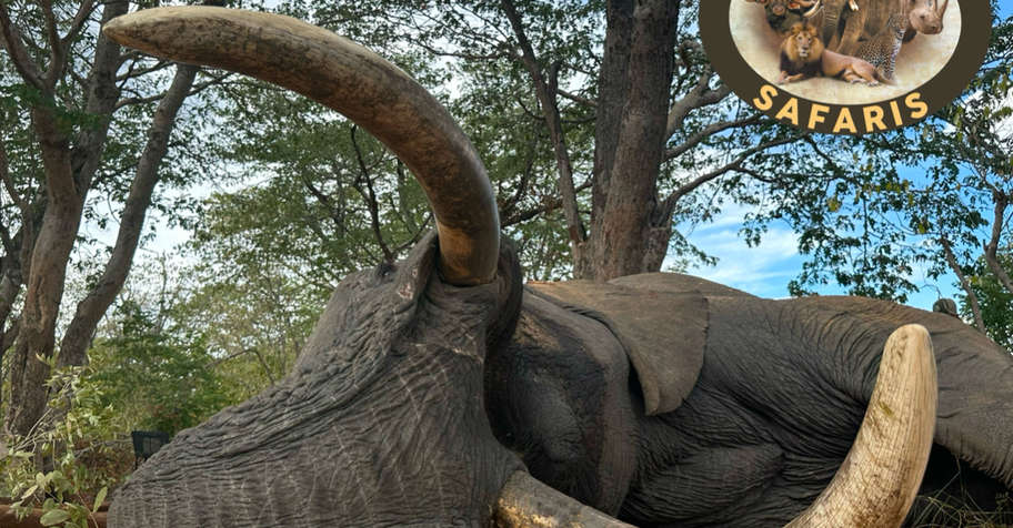 Non-exportable Elephant Package