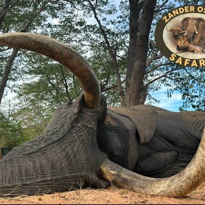 Non-exportable Elephant Package