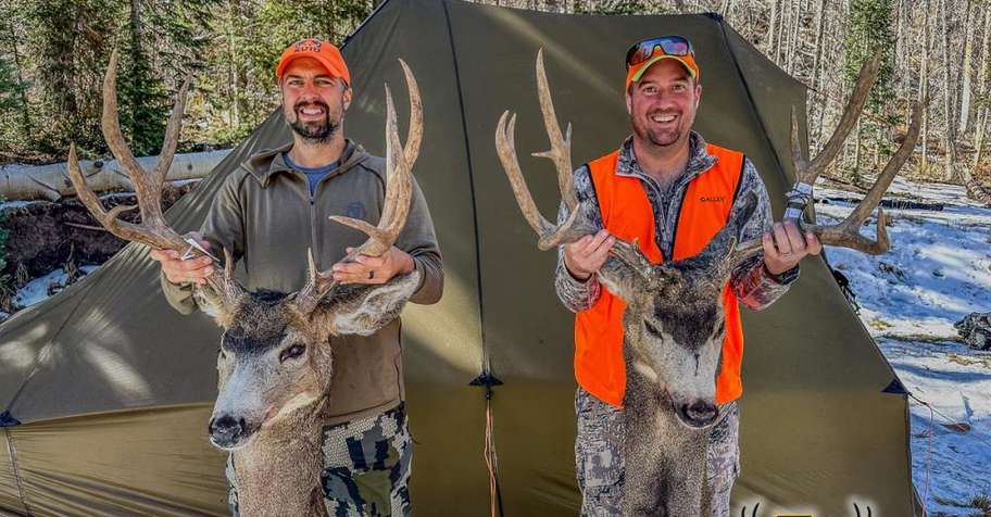 Utah General Season Deer *Draw Required*