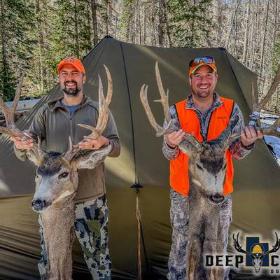 Utah General Season Deer *Draw Required*