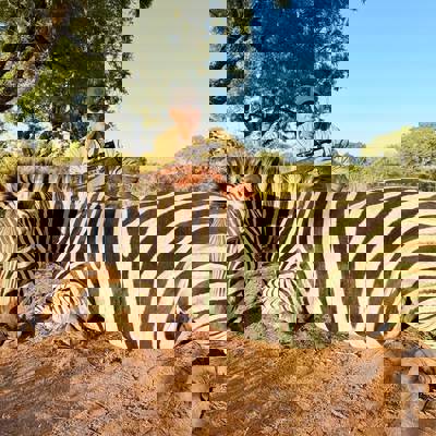 Couples hunt & Kruger Park