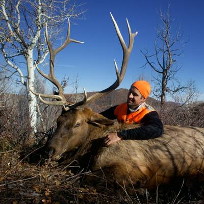 Colorado Rifle Elk Hunt Late Season RFW