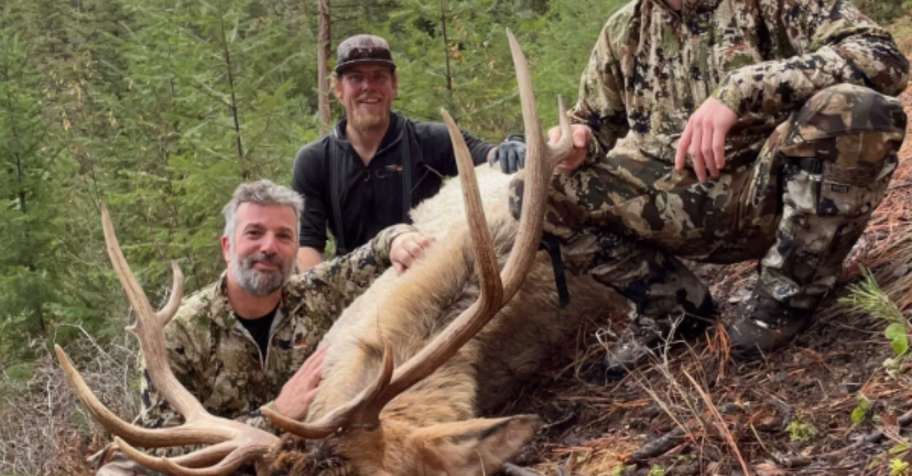 Fully Guided 6 Day Bull Elk Hunt x3
