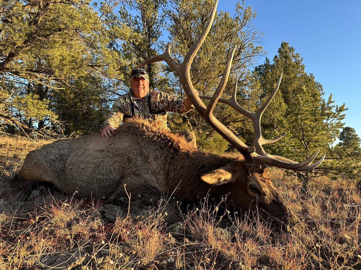 N.M Private Land Rifle Elk Hunt / New Mexico, United States ...