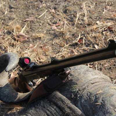 10 Day Buffalo & Greater Kudu Package
