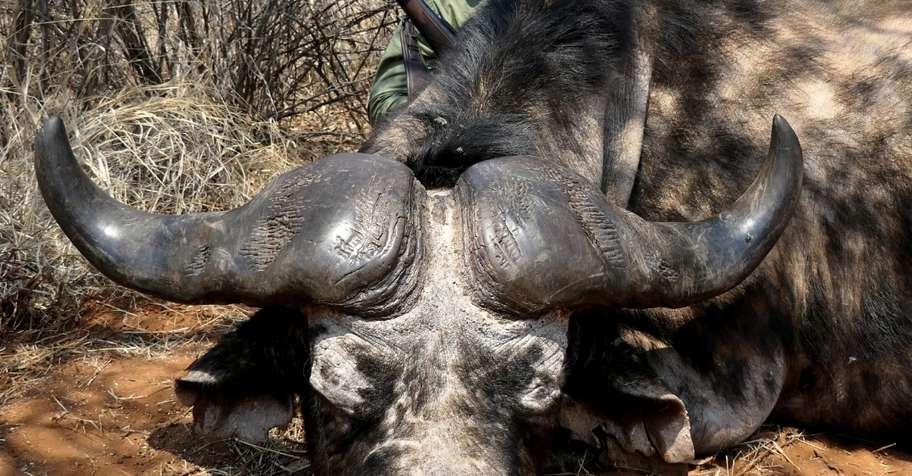 58,000 Acre Big 4 Reserve Hunt