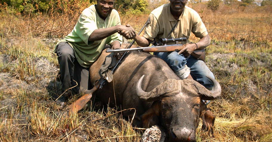 14-Day Savannah Buffalo Safari (1x1)