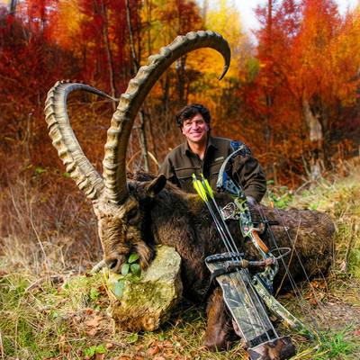 Alpine Ibex Combo Bow hunt - FREE RANGE