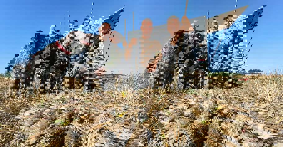 Quail and Dove Mix Hunting