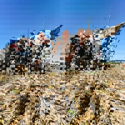 Quail and Dove Mix Hunting