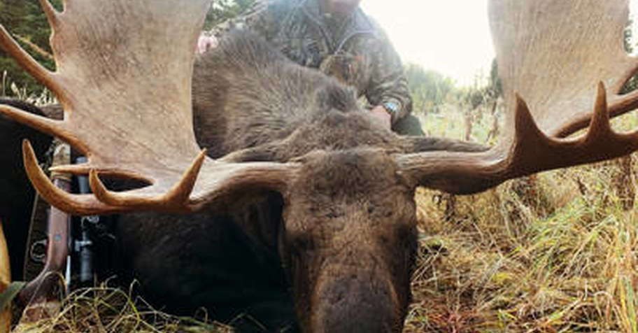 6 Day Rifle Rut Moose Hunt 2x1 '26