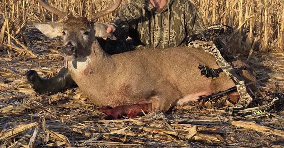 2026 Archery Whitetail