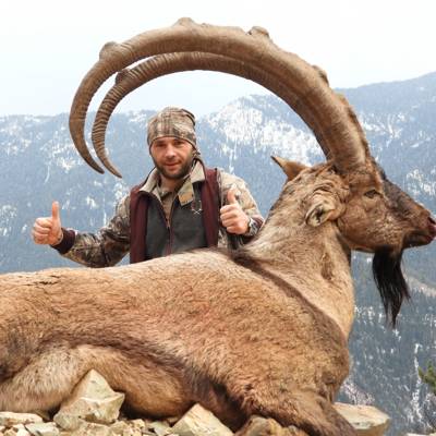 Anatolian Bezoar Ibex Hunt