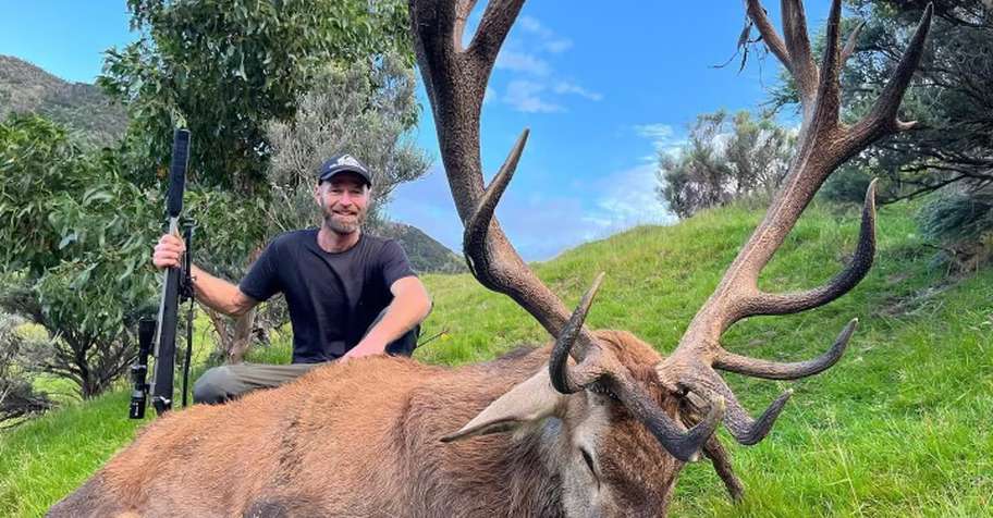 RED STAG HUNT, NZ