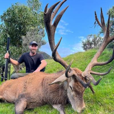 RED STAG HUNT, NZ