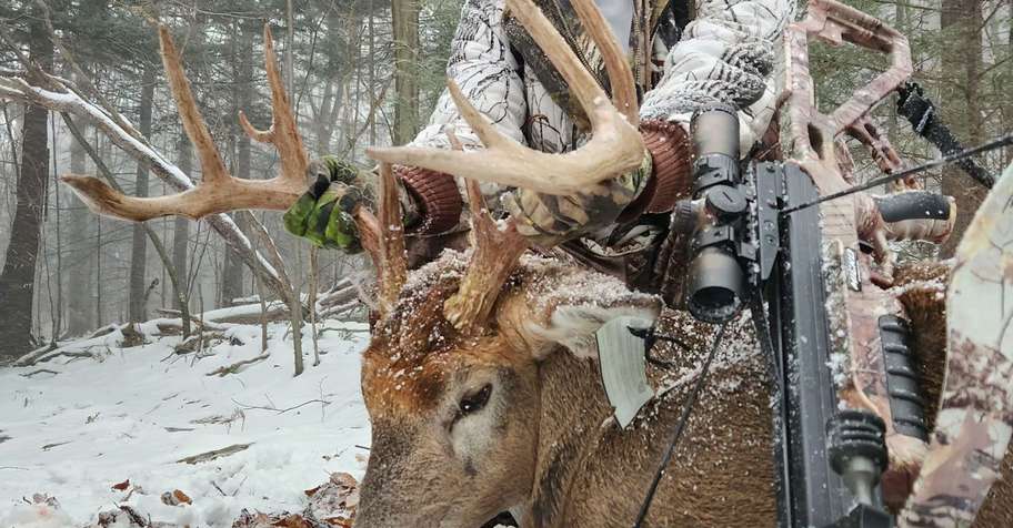 northern P.A trophy whitetail for 2027