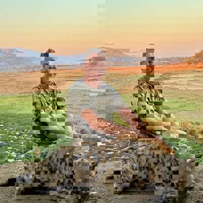 Hyena Hunts 2026 - Zimbabwe