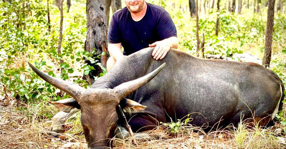 Trophy Banteng Hunt 1x1