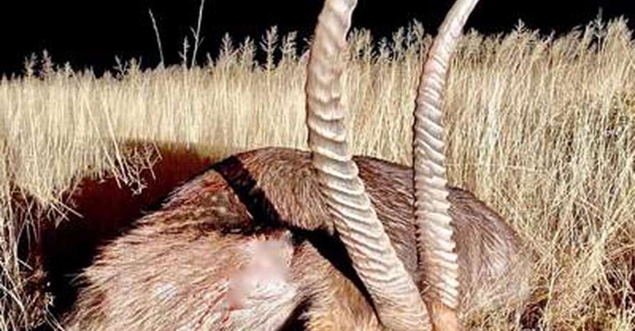 Namibia Simply the Best (Pkg 4)