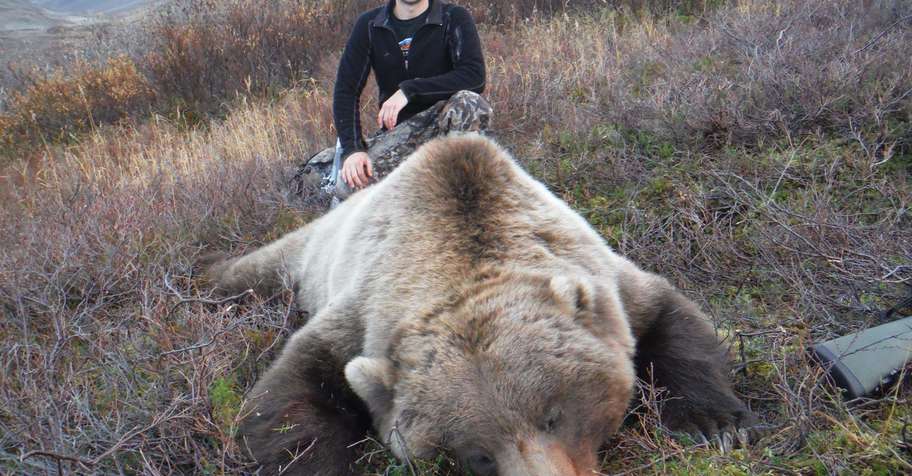 July Spot and Stalk Grizzly/Brown Bear