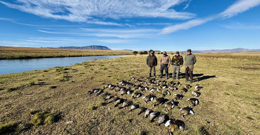 Dove & Waterfowl Combination Hunt