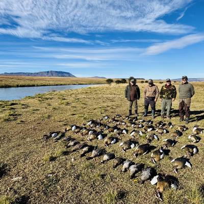 Dove & Waterfowl Combination Hunt