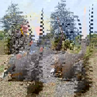 Crazy special!! 7 days -3 Animals $1997