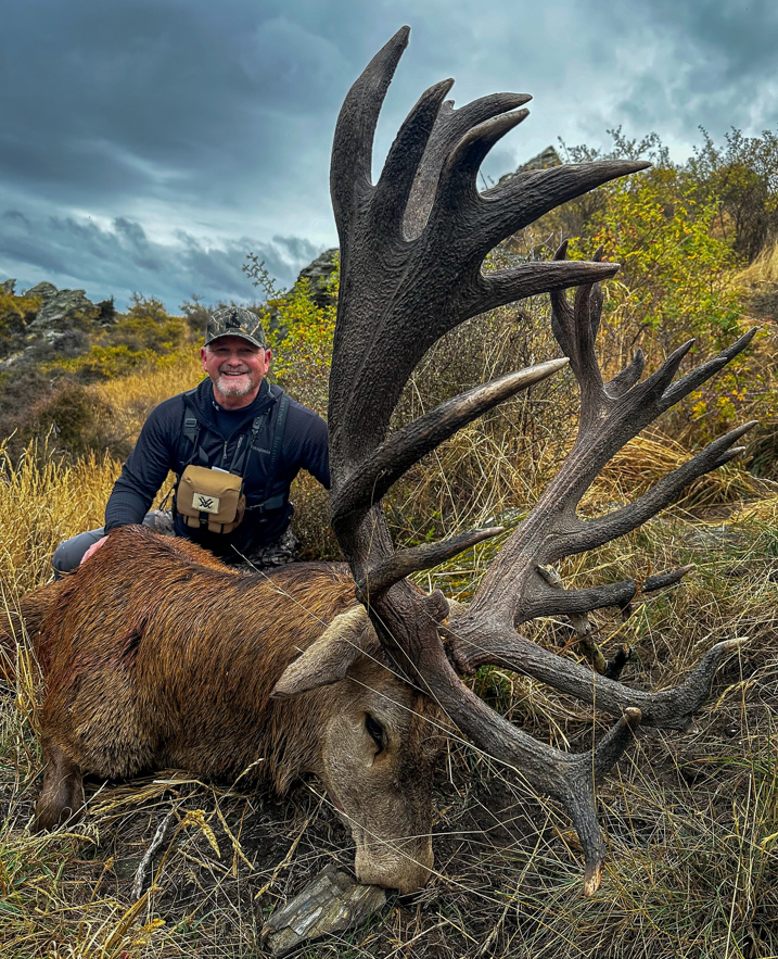Red stag Gold class (400 inches) / Otago, New Zealand