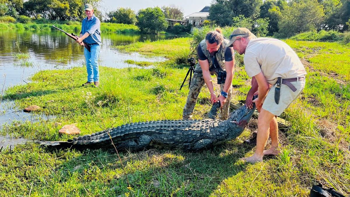 3 Meter / 10Ft Crocodile Hunt / Северо-Западная провинция, Южно-Африканская  Республика - BookYourHunt.com