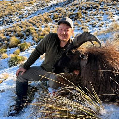 Private Land Free Range Bull Tahr