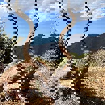 Eastern Cape Kudu Package