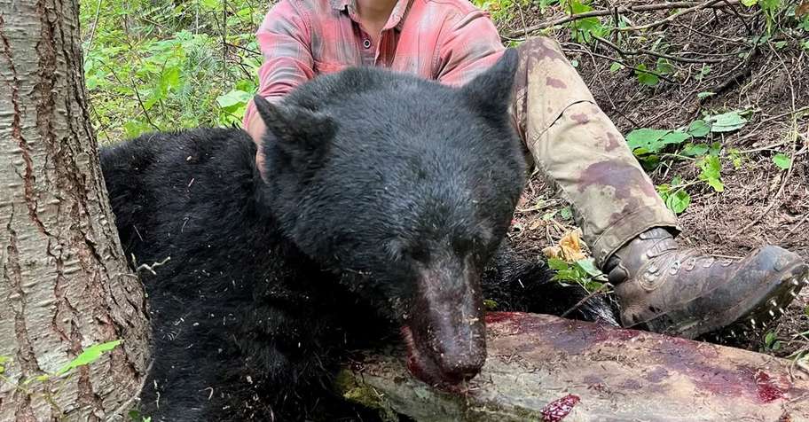 5 Day Spring Bear Hunt