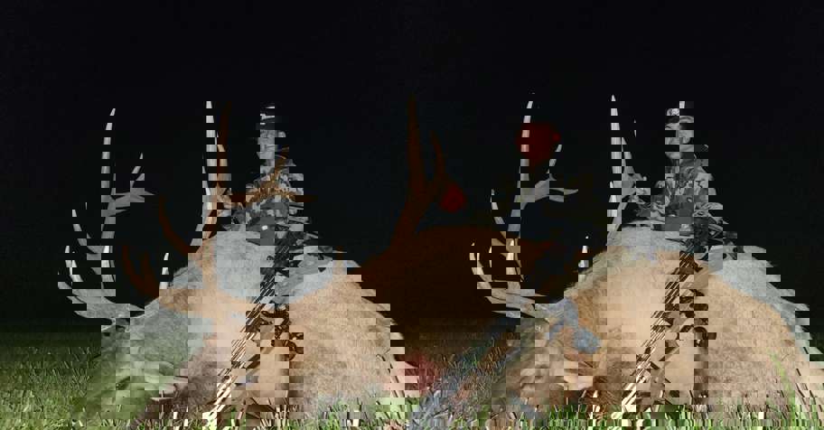 Archery Elk Hunt 2026