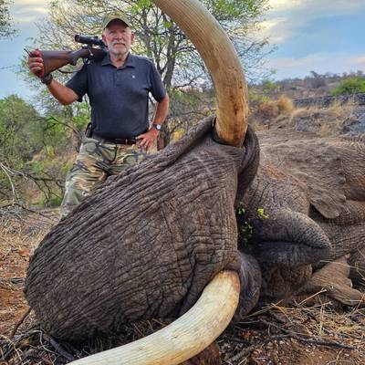 Non-export Elephant Hunt