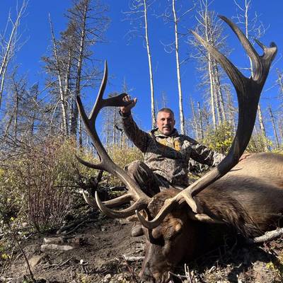 Archery Elk Hunt