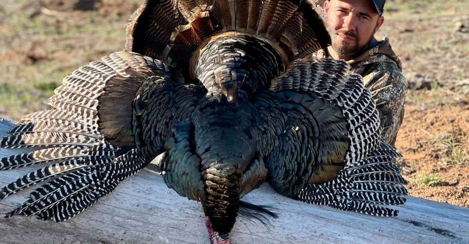 3 Day Semi Guided Rio Grande Turkey Hunt