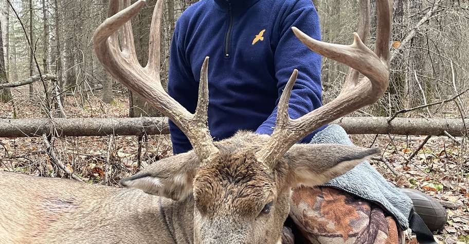 Whitetail/mule deer combo 2x1