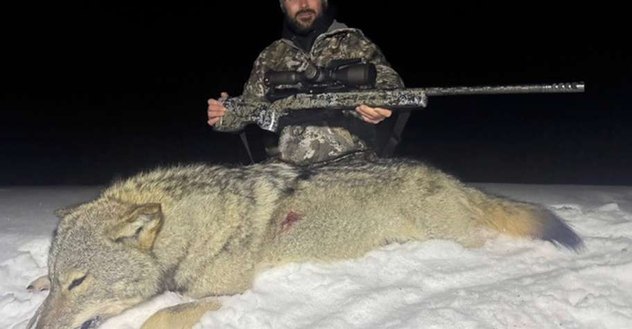 Winter Wolf Hunt 2026/2027