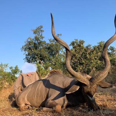 Kudu Hunt