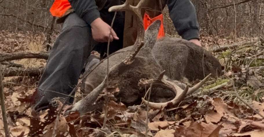 Archery 2 / Muzzle loader 2026