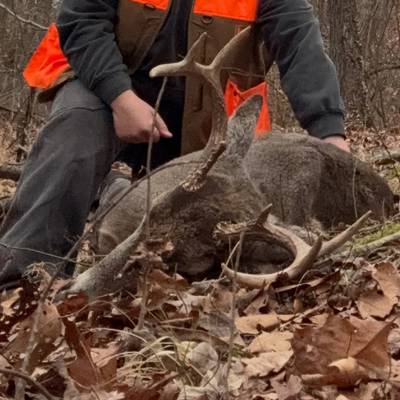 Archery 2 / Muzzle loader 2026