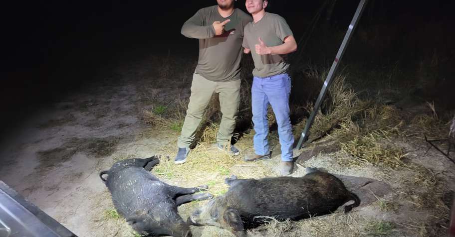 Hog Hunts