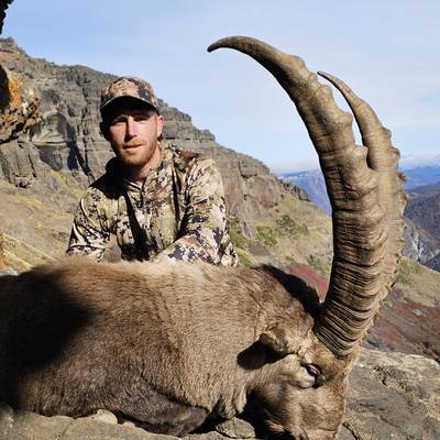 Alpine Ibex Special Promo 2026