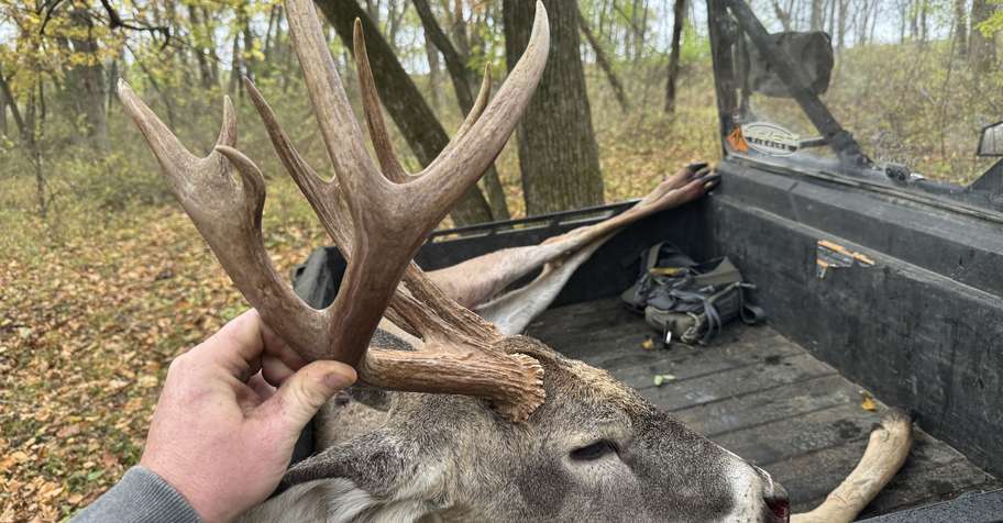 Archery Season Pre-Rut