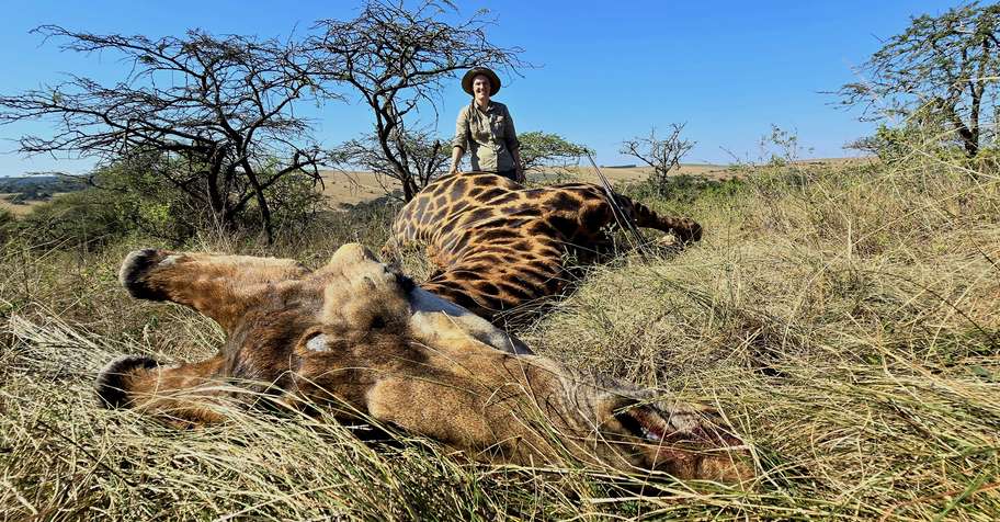 Management Giraffe Package