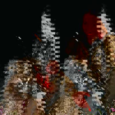 Wild Boar in Portugal