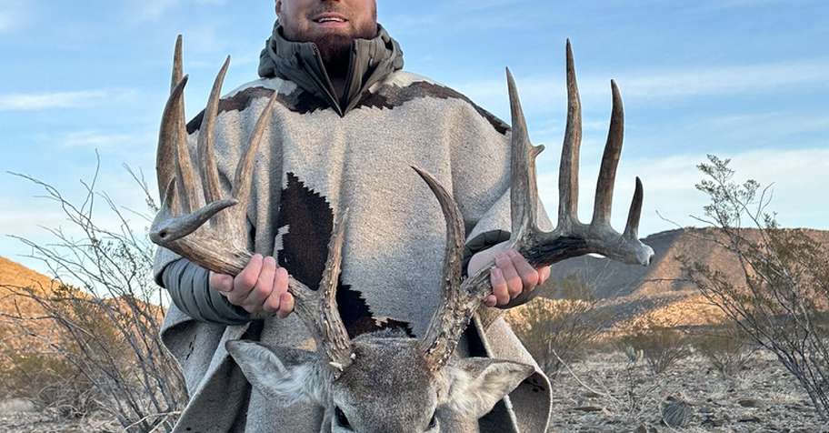 Whitetail Deer Trophy up to 199"