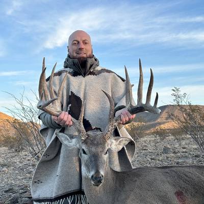 Whitetail Deer Trophy up to 199"