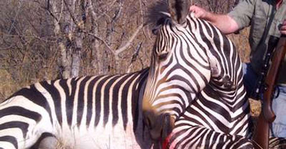 3. Long Range Chellenge Package